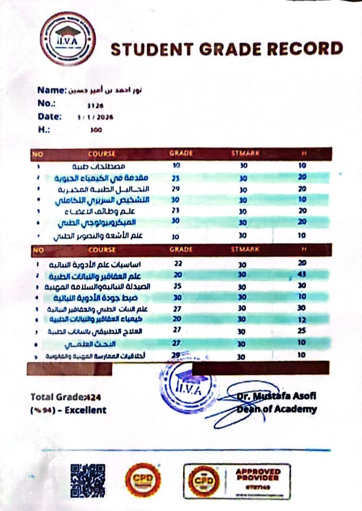 Vision International Academy — Student Grade Record No. 1120 (94% Excellent)