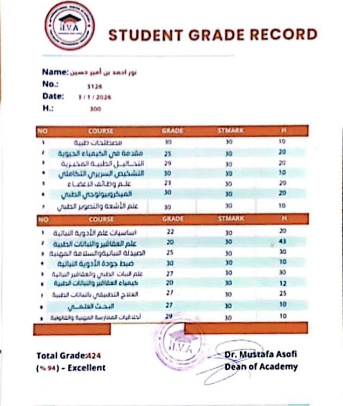 Vision International Academy — Student Grade Record No. 3126 (94% Excellent)