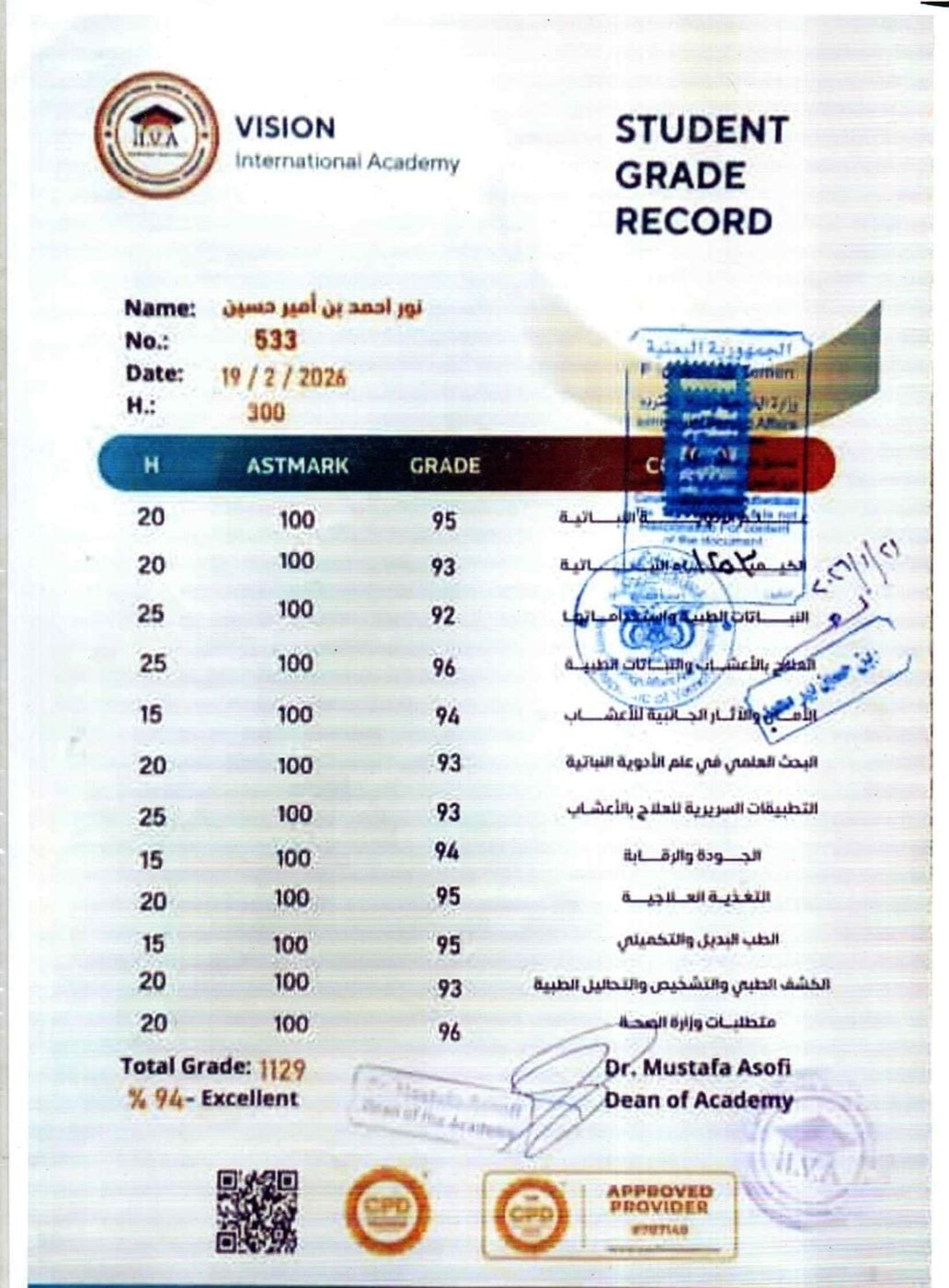 Vision International Academy — Student Grade Record No. 533 (300 hours, 94% Excellent)